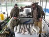 (04/15/2018) - Nice Striped Bass